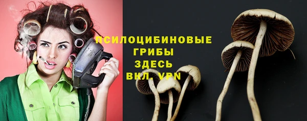 2c-b Алексеевка