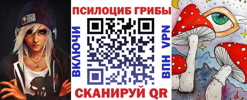 Галлюциногенные грибы Psilocybe Лахденпохья